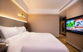Туры в отель REX Hotel