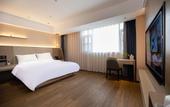 Туры в отель REX Hotel