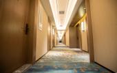 Туры в отель REX Hotel