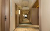 Туры в отель REX Hotel