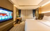 Туры в отель REX Hotel