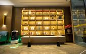 Туры в отель REX Hotel