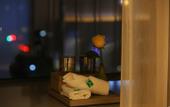 Туры в отель REX Hotel