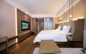 Туры в отель REX Hotel