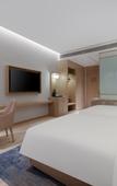 Туры в отель Grand Madison Optical Valley Hidden Dragon Island Hotel