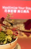 Туры в отель MaxX by Steigenberger Shanghai, Hongqiao