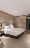 Туры в отель HanTing Hotel (Yangzhou Shouxihu Road)