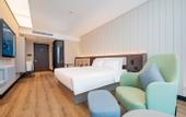 Туры в отель HanTing Hotel (Xi'an Jingwei Jili Industrial Park)