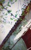 Туры в отель Floral Hotel·Xiandu Drunken Moxuan hotel
