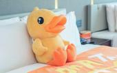 Туры в отель ATOUR HOTEL,Happy Avenue, Shunde OCT Harbour Branch, Foshan