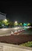 Туры в отель Nanjing Zhongshan Mausoleum Scenic Area Alfalfa Garden Street Light Residence Hotel