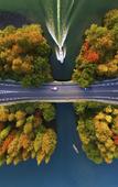 Туры в отель Atour Hotel(Hangzhou Zhongshan North Road)