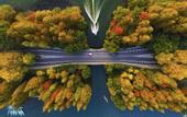 Туры в отель Atour Hotel(Hangzhou Zhongshan North Road)