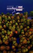 Туры в отель Atour Hotel(Hangzhou Zhongshan North Road)