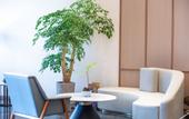 Туры в отель Atour  Hotel Wuhan Zhong Nan Road Dream Plaza
