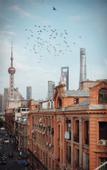 Туры в отель ZHotel The Somekh Building