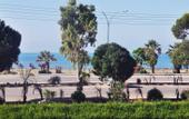 Туры в отель Lysithea Hotel Apartments
