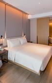 Туры в отель Atour Hotel Huizhou Zhongkai Tianyi City