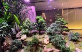 Туры в отель Jinan Jingshi East Road Sunac Mao Atour Hotel