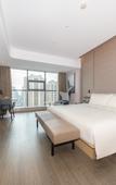 Туры в отель Atour Hotel International Expo Center Sixin Wuhan