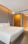 Туры в отель Atour Hotel (Shanghai New International Expo Center Yanggao South Road Metro Station)