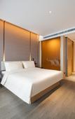 Туры в отель Atour Hotel (Shanghai New International Expo Center Yanggao South Road Metro Station)