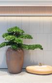 Туры в отель JI Hotel (Changzhou Wujin Wuyue Square)