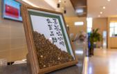 Туры в отель Shankee Coffee Style Hotel (Lanzhou Zhongchuan Airport Caihongcheng)