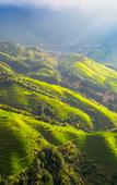 Туры в отель LANO · Mountain View Cloud Nest , Smart Retreat Mountain View Resort