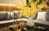 Туры в отель MEHOOD LESTIE Hotel (Qujiang Dayan Pagoda Datang Everbright City Jinhui Square)