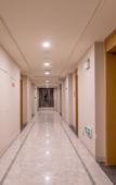 Туры в отель Jungle Elephant Hotel