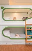 Туры в отель Jungle Elephant Hotel