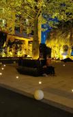 Туры в отель Jungle Elephant Hotel