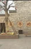 Туры в отель Ya Ma Xun Luxury Hotel(Ningbo Railway Station Business College)