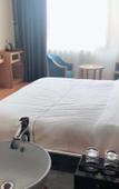 Туры в отель NANYUAN INN Collection Hotel (Ningbo Gaoqiao Subway Station)