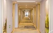 Туры в отель Vienna International Hotel (Dongwu South Road Hongzhuang Metro Station)