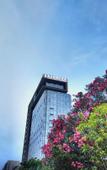 Туры в отель Vienna International Hotel (Dongwu South Road Hongzhuang Metro Station)