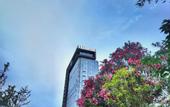 Туры в отель Vienna International Hotel (Dongwu South Road Hongzhuang Metro Station)