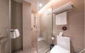 Туры в отель Homeinn Plus Hotel (Jinan Zhangqiu University Town)