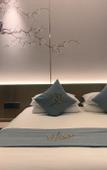 Туры в отель Yuyou Xishang Resort Hotel (Hangzhou Xixi Wetland Branch)