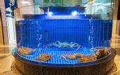 Туры в отель Longdu Realm International Hotel