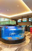 Туры в отель Longdu Realm International Hotel