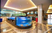 Туры в отель Longdu Realm International Hotel