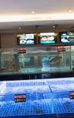 Туры в отель Longdu Realm International Hotel