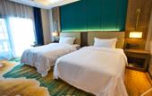 Туры в отель Longdu Realm International Hotel