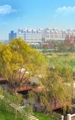 Туры в отель Longdu Realm International Hotel