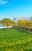 Туры в отель Longdu Realm International Hotel