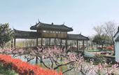 Туры в отель Longdu Realm International Hotel