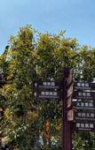 Туры в отель Longdu Realm International Hotel