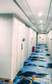 Туры в отель Baisi Elegant Hotel (Dongguan Liaobu Basketball Center)